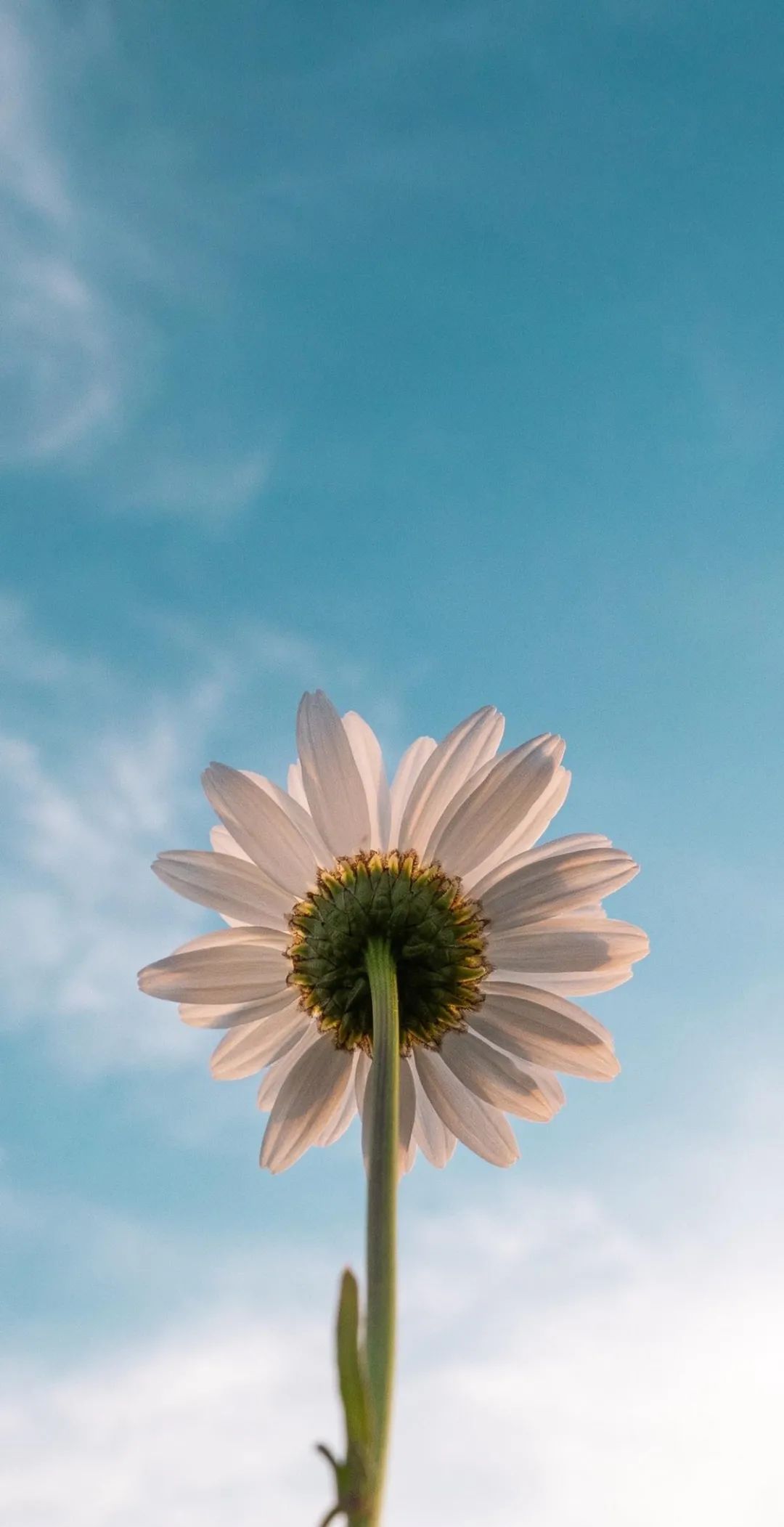 全面屏壁纸超好看