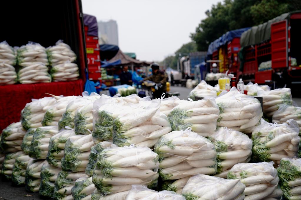 图为3月19日在江桥批发市场拍摄的萝卜.新华社记者 张建松 摄