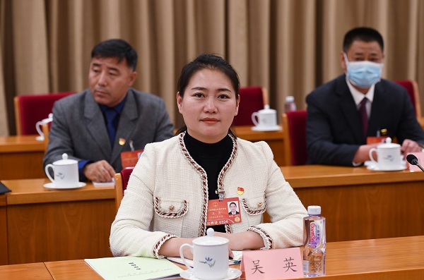 吴英代表构建企业发展容错纠错机制