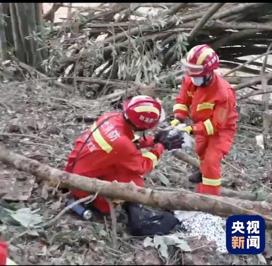 最新进展！坠毁客机残骸碎片已找到，多方力量紧急救援中休闲区蓝鸢梦想 - Www.slyday.coM