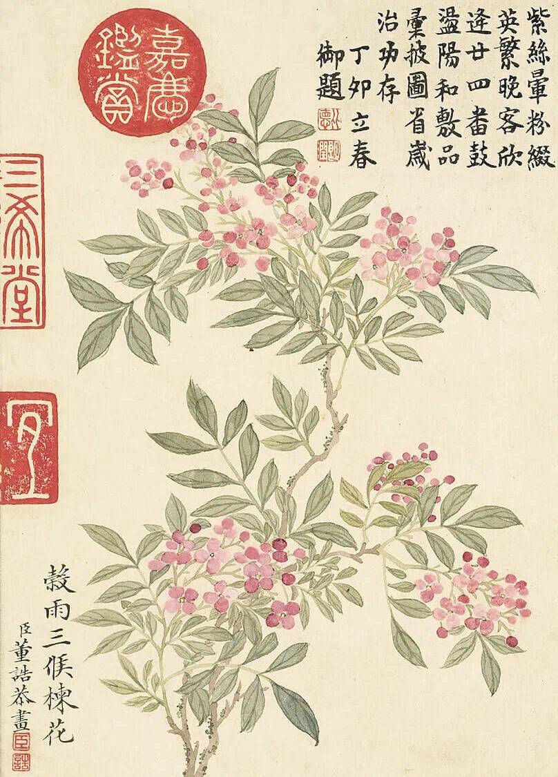 鉴赏 清朝画家董诰笔下的 二十四番花信风图 二十四番花信风图 新浪新闻