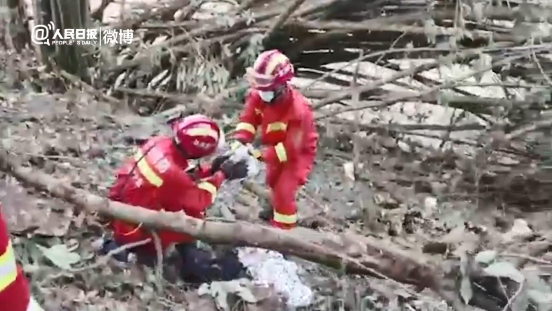 藤县救援现场视频显示：已找到失事飞机的部分残骸和碎片休闲区蓝鸢梦想 - Www.slyday.coM