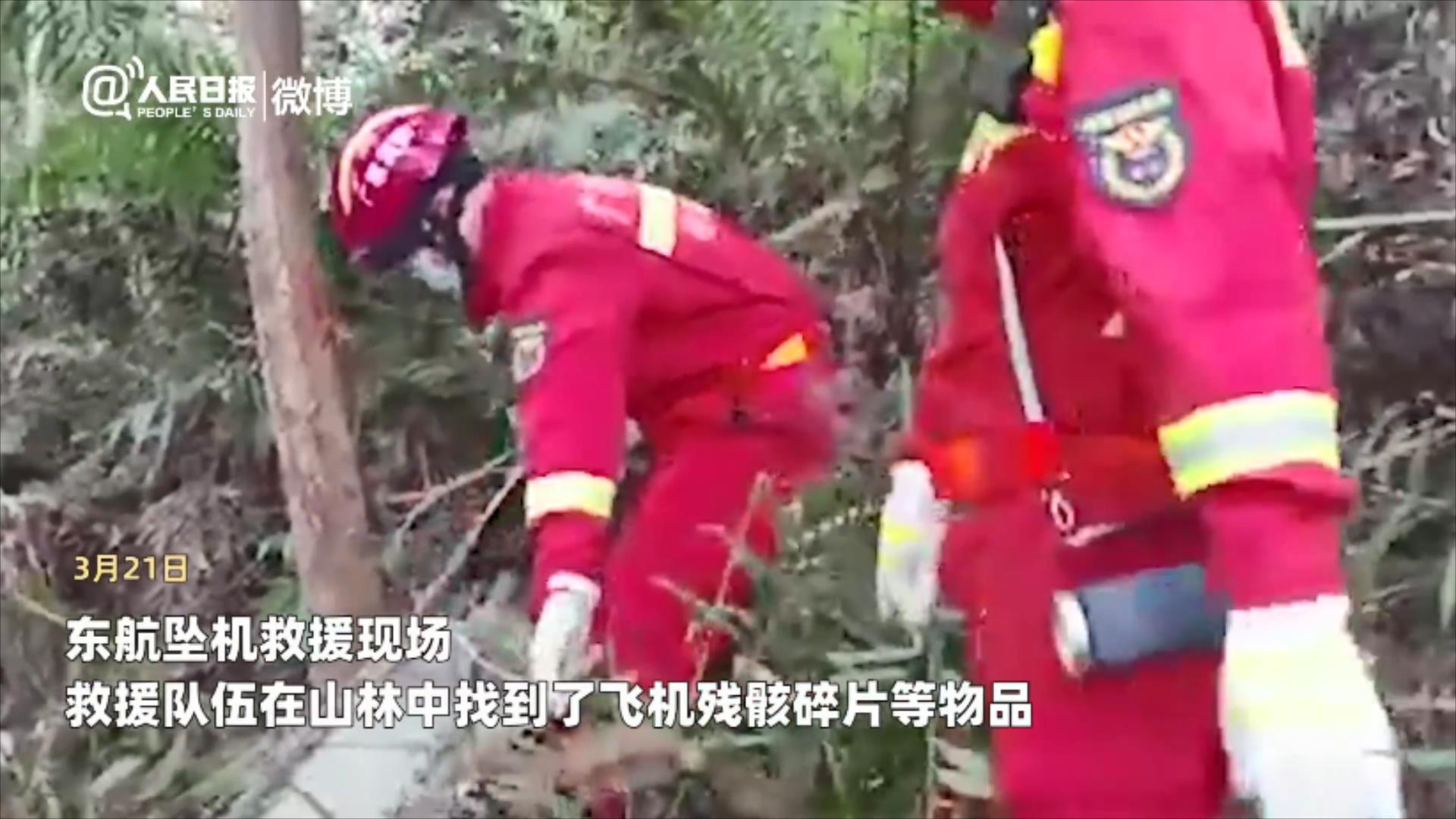 藤县救援现场视频显示：已找到失事飞机的部分残骸和碎片休闲区蓝鸢梦想 - Www.slyday.coM