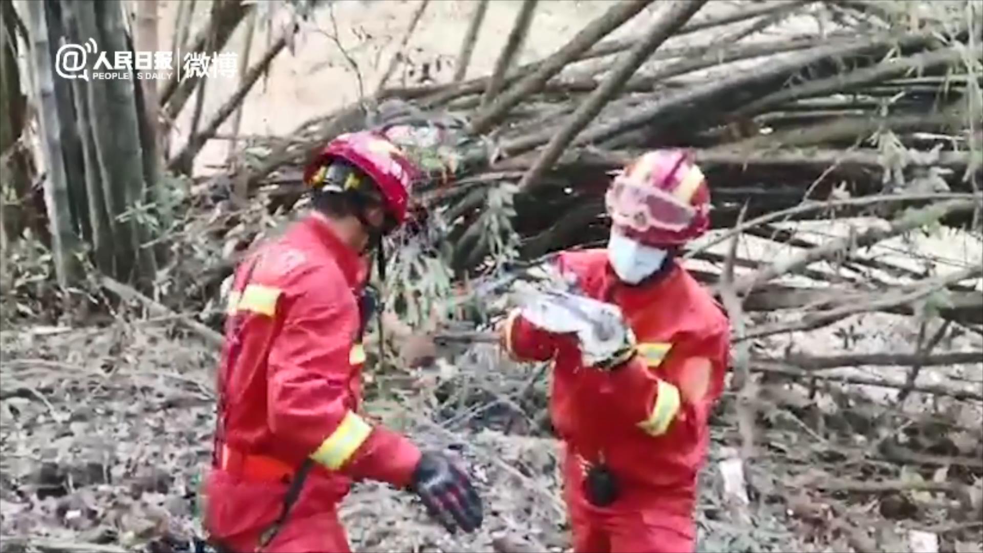 藤县救援现场视频显示：已找到失事飞机的部分残骸和碎片休闲区蓝鸢梦想 - Www.slyday.coM