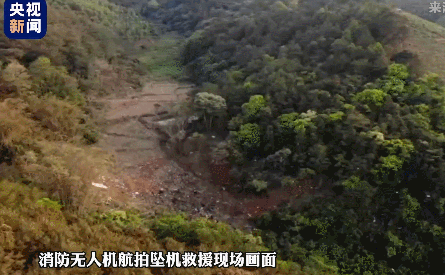 最新进展！坠毁客机残骸碎片已找到，多方力量紧急救援中休闲区蓝鸢梦想 - Www.slyday.coM