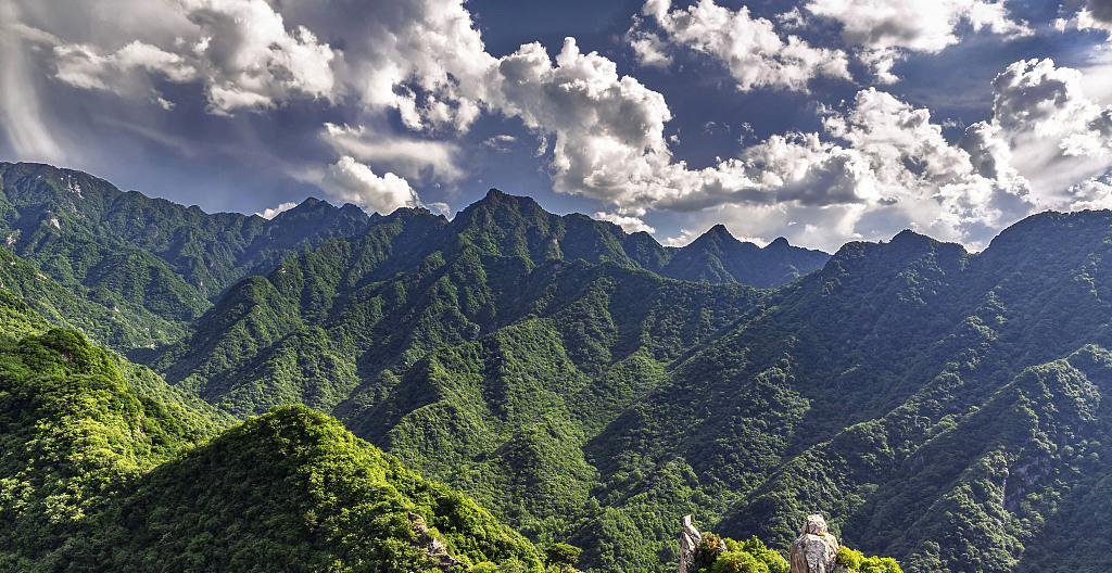 世界森林日③建立国家公园保护生物多样性