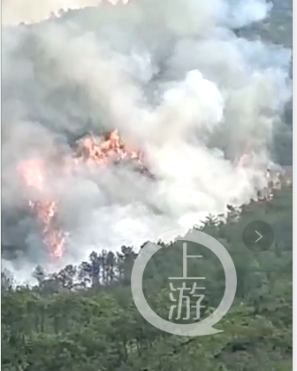 ▲疑似东航客机坠毁后引发山火。图片来源/视频截图