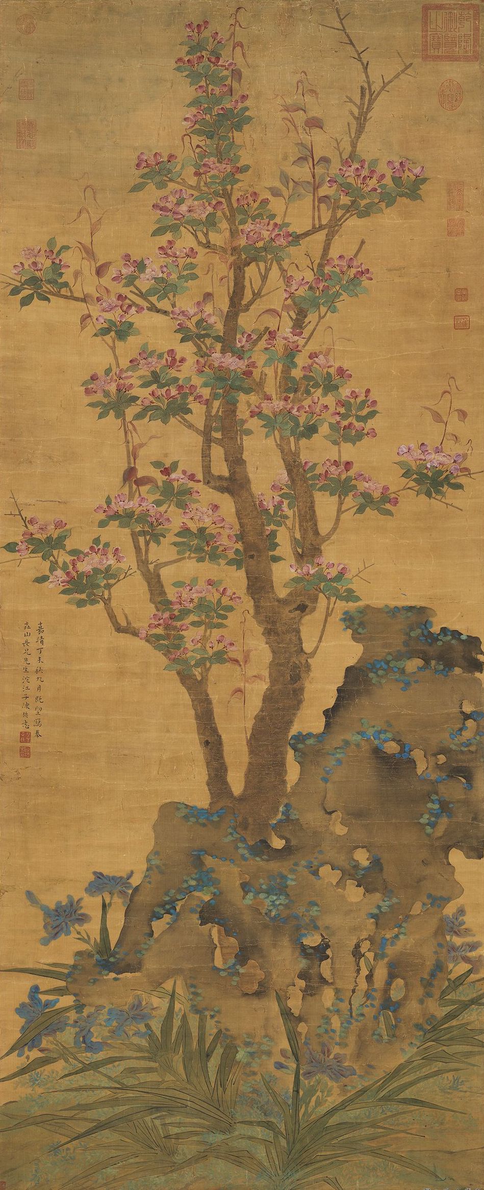 故宫花信海棠只恐夜深花睡去故烧高烛照红妆