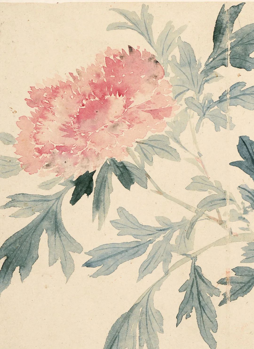 恽寿平《瓯香馆写生册》,春日里的小清新|恽寿平|瓯香馆写生册|工笔_