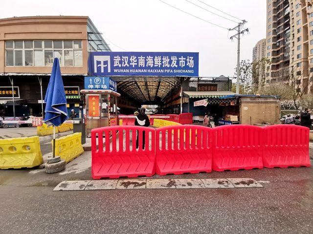 武汉疫情源头新线索,不是来自军运会?或来自美国缅因州进口龙虾休闲区蓝鸢梦想 - Www.slyday.coM 武汉疫情源头新线索,不是来自军运会?或来自美国缅因州进口龙虾休闲区蓝鸢梦想 - Www.slyday.coM