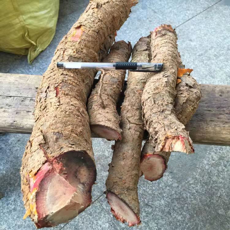 中药九龙藤你见过吗常用它做手串掌握这2个方法轻松找到它