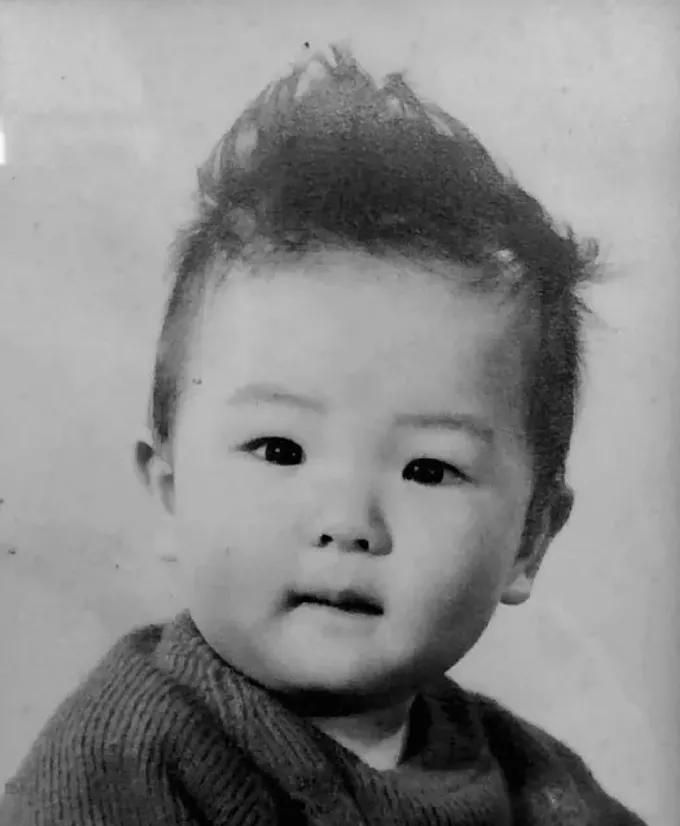 因丢狗与朱茵结缘宠妻20年,57岁黄贯中沉寂半生终翻红!__财经头条