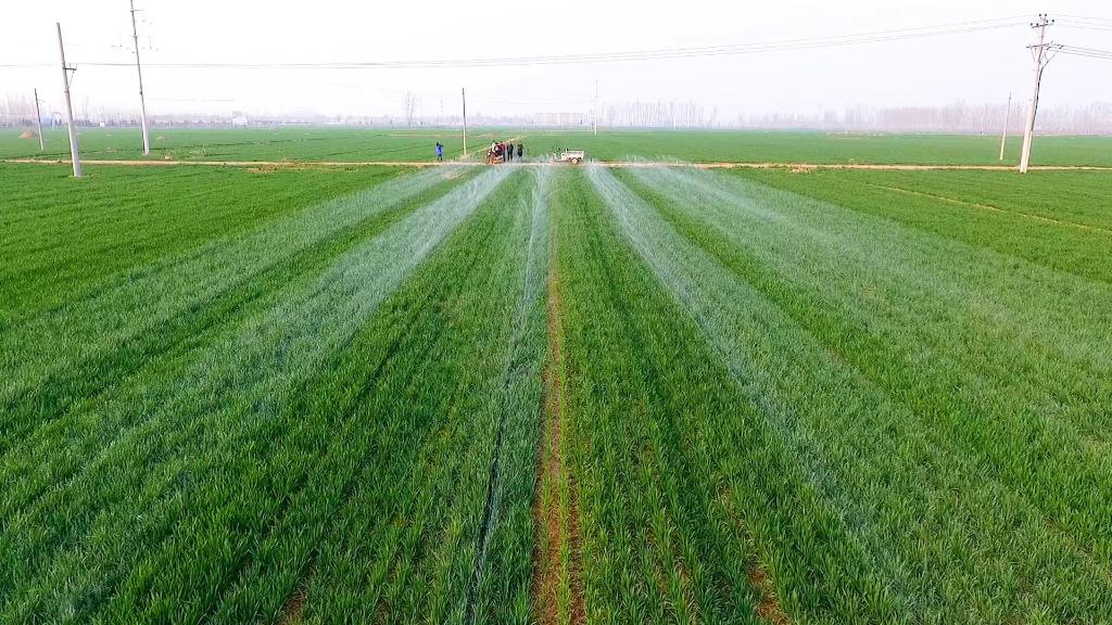 　　河北宁晋县高效农田示范区内的麦田进行节水浇灌（无人机照片）。（朱丽娜摄）