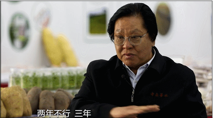 向盐而生！山东一科研团队在盐碱地里种出“金疙瘩”休闲区蓝鸢梦想 - Www.slyday.coM