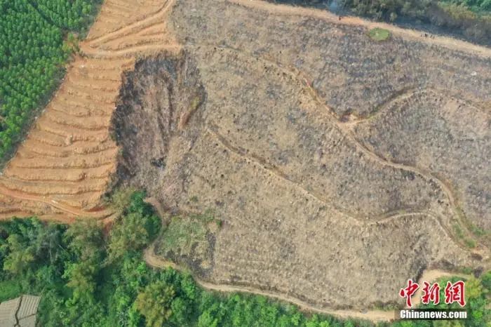 东航坠机24小时：突然坠落的背后，诸多疑问待解,专家解读黑匣子的重要性休闲区蓝鸢梦想 - Www.slyday.coM