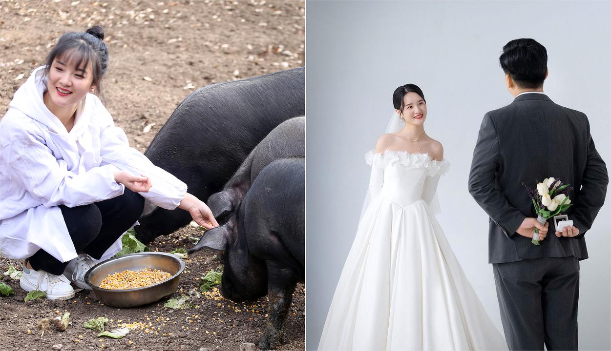 美女要结婚了老爸非要送300头猪当嫁妆男方嫌猪太多不愿接受