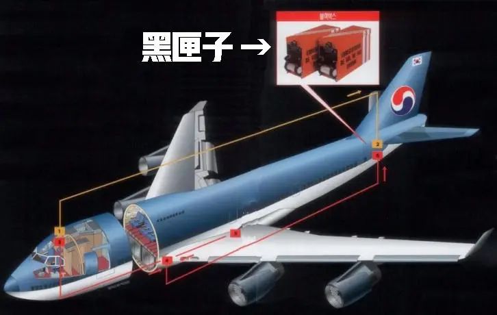 飞机失事为什么一定要找到黑匣子？休闲区蓝鸢梦想 - Www.slyday.coM