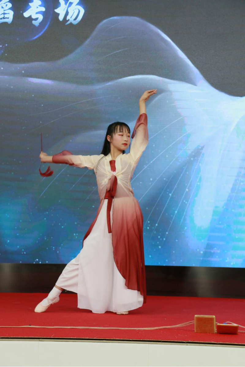 武术才艺表演种类 少林寺观赏性武术项目