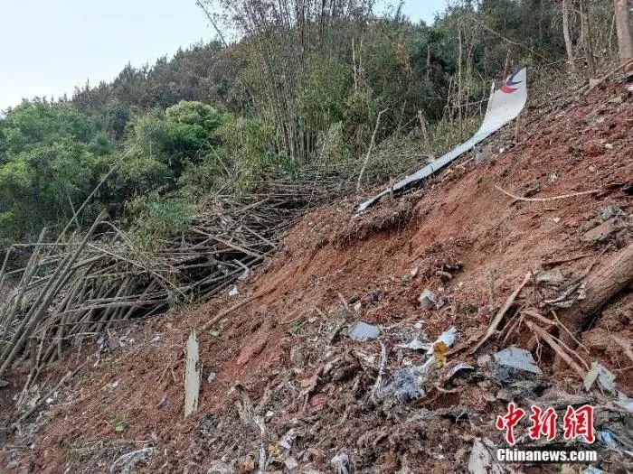 东航客机坠机现场。通讯员 江怀鹏 武警广西梧州支队提供