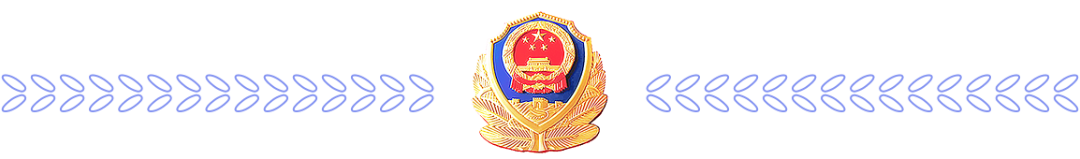 江宁警方通报家居城持刀伤人事件休闲区蓝鸢梦想 - Www.slyday.coM