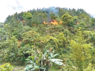 东航载132人客机失联坠毁 发现残骸和碎片 尚未发现失联人员休闲区蓝鸢梦想 - Www.slyday.coM