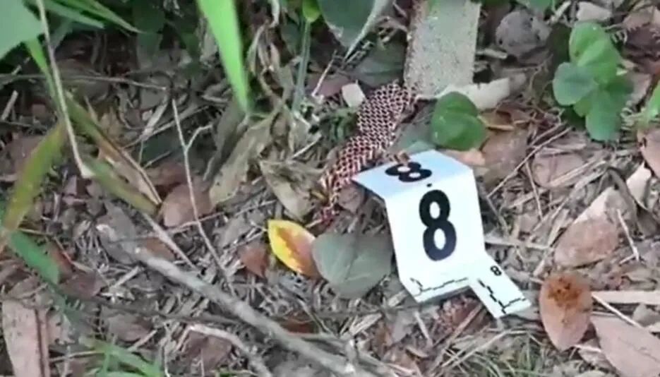 进入坠机事故核心区，记者哽咽落泪…发现失联人员身份证、钱包、写着“平安扣”的字条休闲区蓝鸢梦想 - Www.slyday.coM