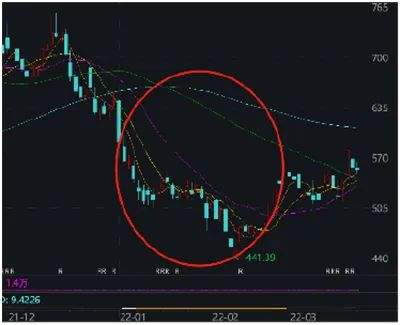 猛加仓！刘格菘、傅鹏博等明星基金经理没“割肉”，却纷纷买入这些股……