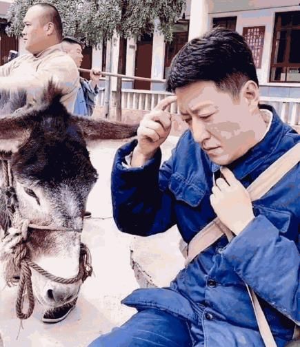 论"大长脸"只服这8位,有人自嘲是"驴脸",有人一屏装不下|张亮|王千源