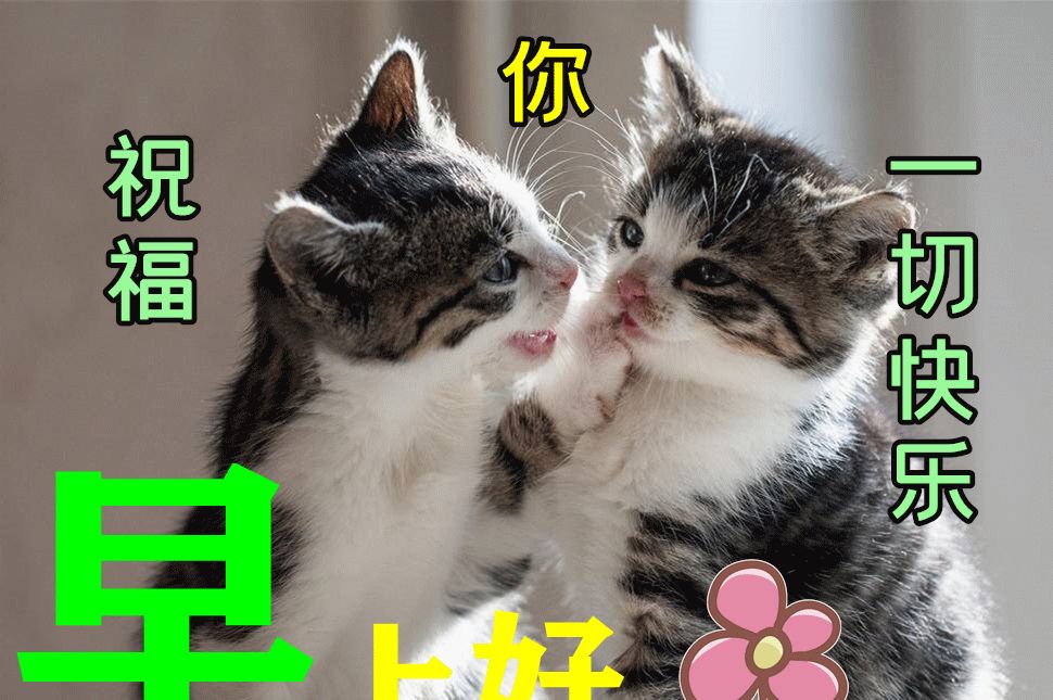 超漂亮早晨好动态图片带字表情最美的早安祝福语图案图片