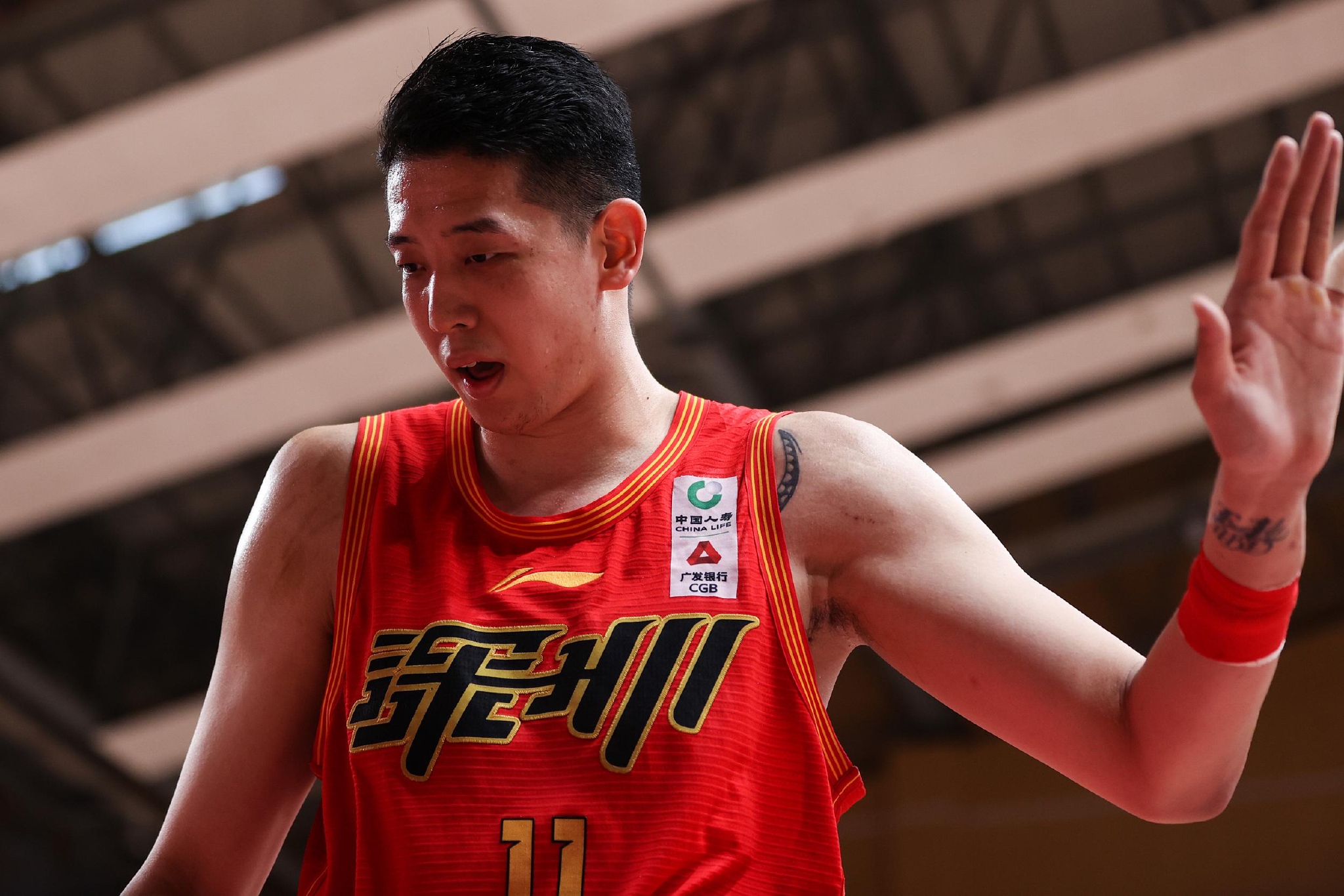 cba最具杀气血性的球员大鸟沈梓捷深圳球队的新领袖