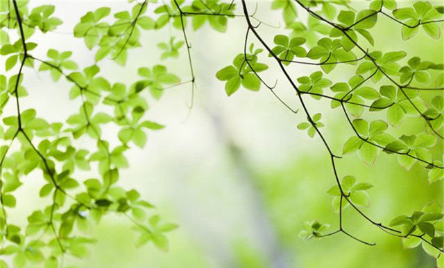 抱怨彩礼不合理,为什么不选择做上门女婿呢?休闲区蓝鸢梦想 - Www.slyday.coM 抱怨彩礼不合理,为什么不选择做上门女婿呢?休闲区蓝鸢梦想 - Www.slyday.coM