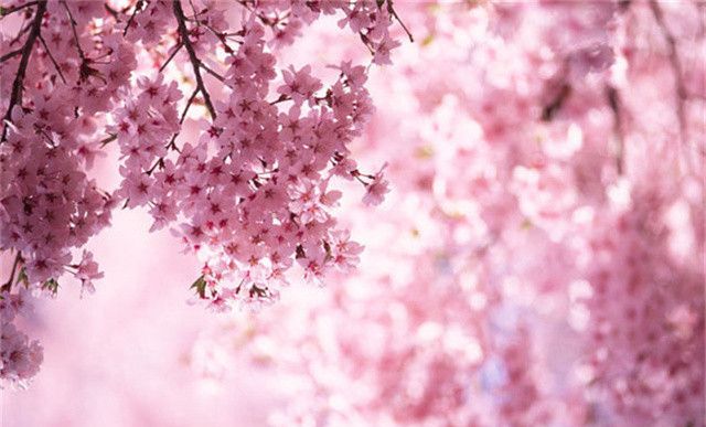 抱怨彩礼不合理,为什么不选择做上门女婿呢?休闲区蓝鸢梦想 - Www.slyday.coM 抱怨彩礼不合理,为什么不选择做上门女婿呢?休闲区蓝鸢梦想 - Www.slyday.coM