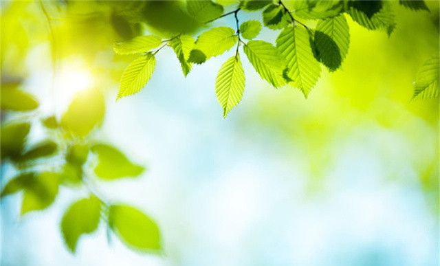 抱怨彩礼不合理,为什么不选择做上门女婿呢?休闲区蓝鸢梦想 - Www.slyday.coM 抱怨彩礼不合理,为什么不选择做上门女婿呢?休闲区蓝鸢梦想 - Www.slyday.coM