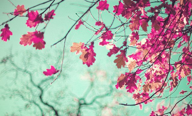 抱怨彩礼不合理,为什么不选择做上门女婿呢?休闲区蓝鸢梦想 - Www.slyday.coM 抱怨彩礼不合理,为什么不选择做上门女婿呢?休闲区蓝鸢梦想 - Www.slyday.coM