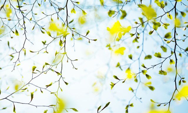 抱怨彩礼不合理,为什么不选择做上门女婿呢?休闲区蓝鸢梦想 - Www.slyday.coM 抱怨彩礼不合理,为什么不选择做上门女婿呢?休闲区蓝鸢梦想 - Www.slyday.coM