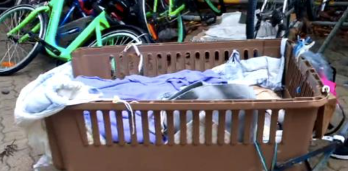 主人为狗狗做了移动狗窝，听完他的陈述后，大伙都热泪盈眶了休闲区蓝鸢梦想 - Www.slyday.coM