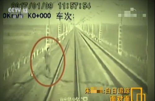 2017年男子撞人后逃逸被追赶致死，家属索赔60万元，唐山法院判了休闲区蓝鸢梦想 - Www.slyday.coM