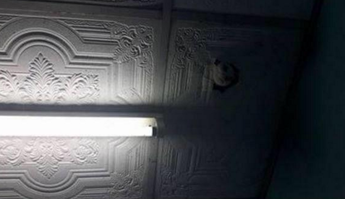 大晚上睡觉听到头顶有响动，猛然睁眼一看，我的内心都崩溃了休闲区蓝鸢梦想 - Www.slyday.coM