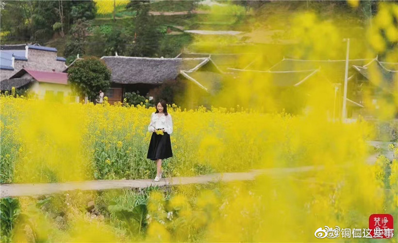 两河口村油菜花图片