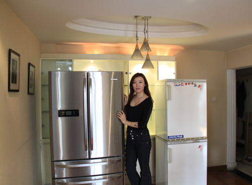 市面上,2万多和2千多的冰箱有何区别?真的是价钱决定品质吗?休闲区蓝鸢梦想 - Www.slyday.coM 市面上,2万多和2千多的冰箱有何区别?真的是价钱决定品质吗?休闲区蓝鸢梦想 - Www.slyday.coM