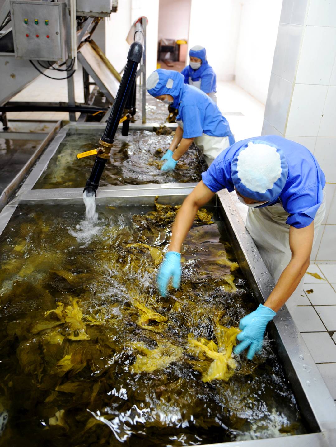 四川泡菜产业遭土坑酸菜误伤酸菜类产品陆续恢复上架