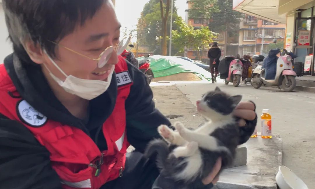 救了1000只猫后，他被网暴了休闲区蓝鸢梦想 - Www.slyday.coM