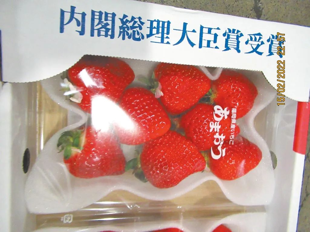 ▲台湾地区从日本进口的农药残留超标的草莓。（台湾中时新闻网）