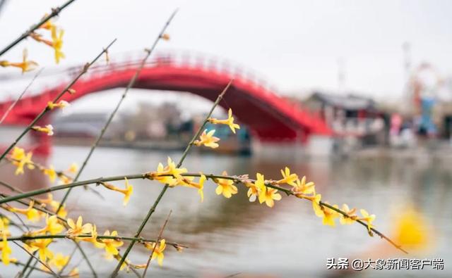 河南你早丨东航坠机事件最新进展：尚未发现幸存人员休闲区蓝鸢梦想 - Www.slyday.coM