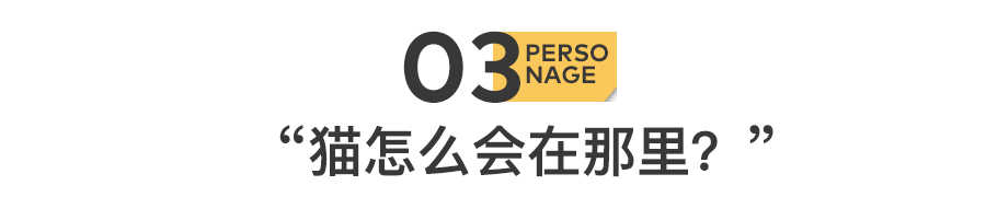 救了1000只猫后，他被网暴了休闲区蓝鸢梦想 - Www.slyday.coM