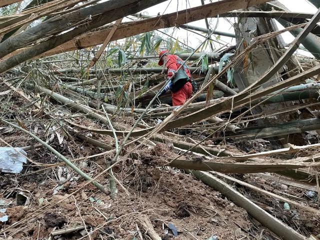 东航空难最新通报：尚未发现幸存人员，仍在搜寻黑匣子休闲区蓝鸢梦想 - Www.slyday.coM