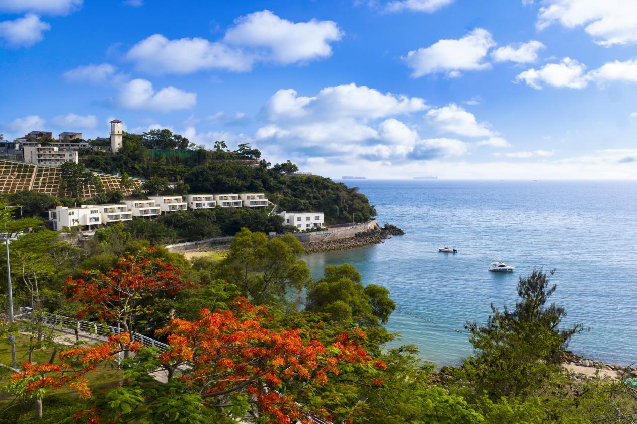 深圳大鹏湾成功入选美丽海湾提名案例