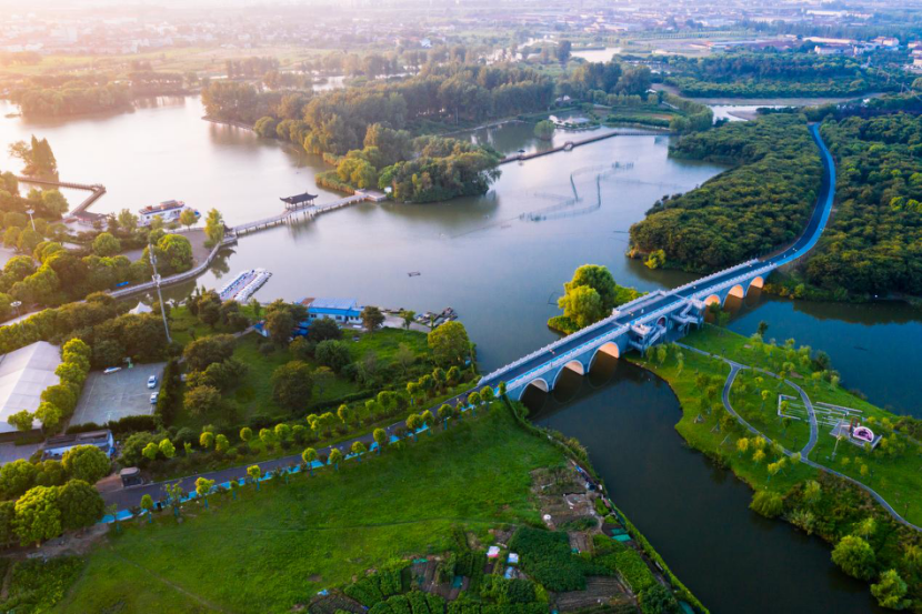 遥观镇一手抓防疫一手抓生产创新发展依然快步走