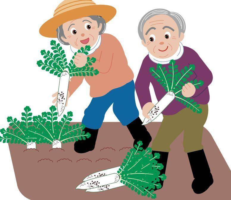 青未了|春天小炒|香椿|炒鸡蛋|香椿芽_新浪新闻