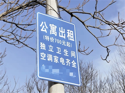 电线杆上打广告